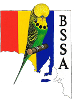 bssa logo