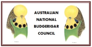 Australian National Budgerigar Council, ANBC, A N B C