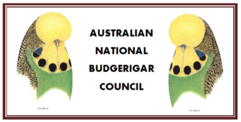 Australian National Budgerigar Council ANBC