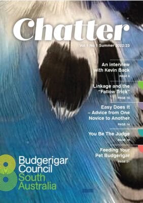 Chatter Magazine Dec 2022