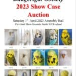 Wynnum Auction 2023