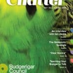 Chatter Autumn 2023 Magazine Cover