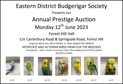 Eastern Districts Budgerigar Society Budgie Auction 2023