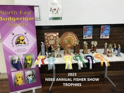 Fisher Annual Show 2023