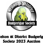 Melton Budgie Auction 2023