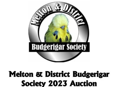 Melton Budgie Auction 2023