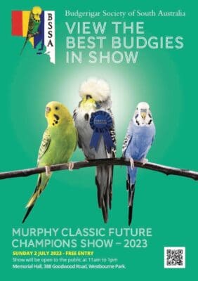 Murphy Classic Future Champions Show 2023