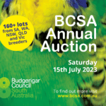 BCSA Auction 2023