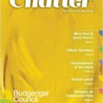 Chatter Winter 2023, Chatter Volume 1 No 3
