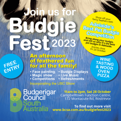 Budgie Fest 2023
