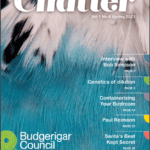 Chatter Magazine Spring 2023