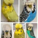 United Auction Dec 23