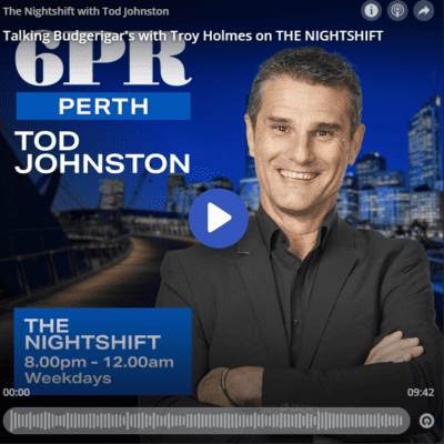 Tod Johnston, 6PR Perth, The Nightshift