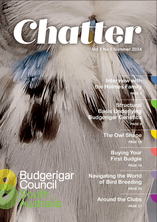Chatter Magazine Summer Edition 2024