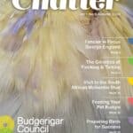 Chatter Magazine May 2024