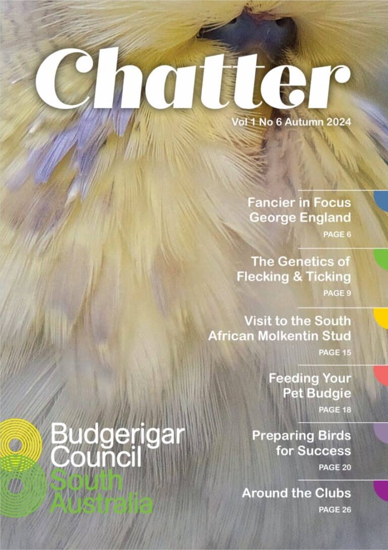 Chatter Magazine May 2024