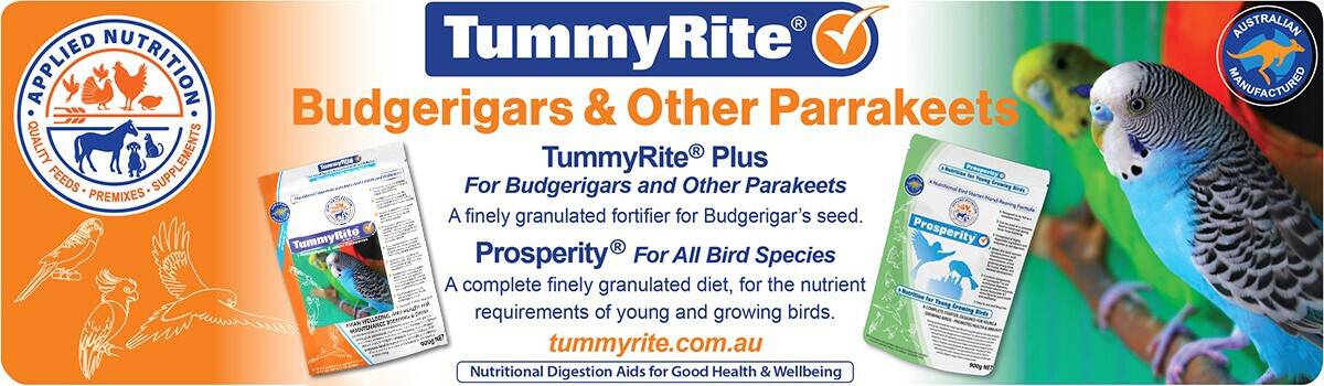Tummyrite, Applied Nutrition, TummyRite®