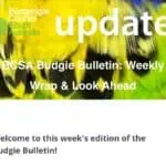 Budgie Bulletin