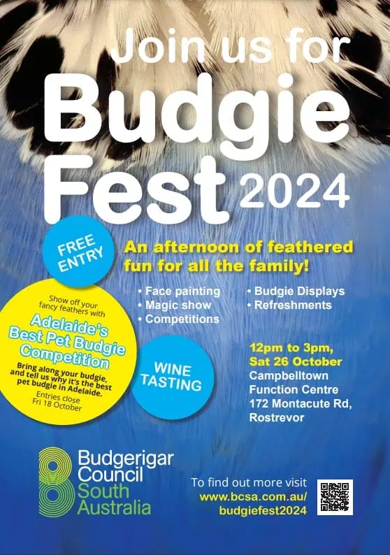 Budgie Fest 2024