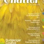 Chatter Magazine Winter 2024, BCSA Budgie Magazine