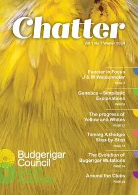 Chatter Magazine Winter 2024, BCSA Budgie Magazine