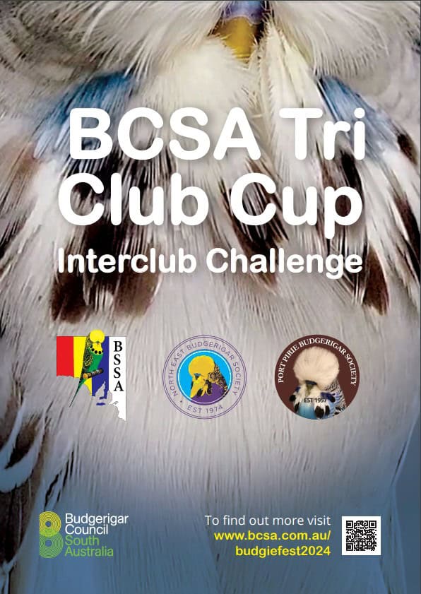 BCSA Tri Club Cup Interbranch 2024