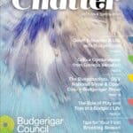 Chatter Magazine Spring 2024