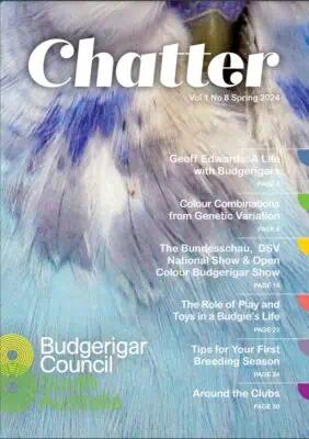 Chatter Magazine Spring 2024