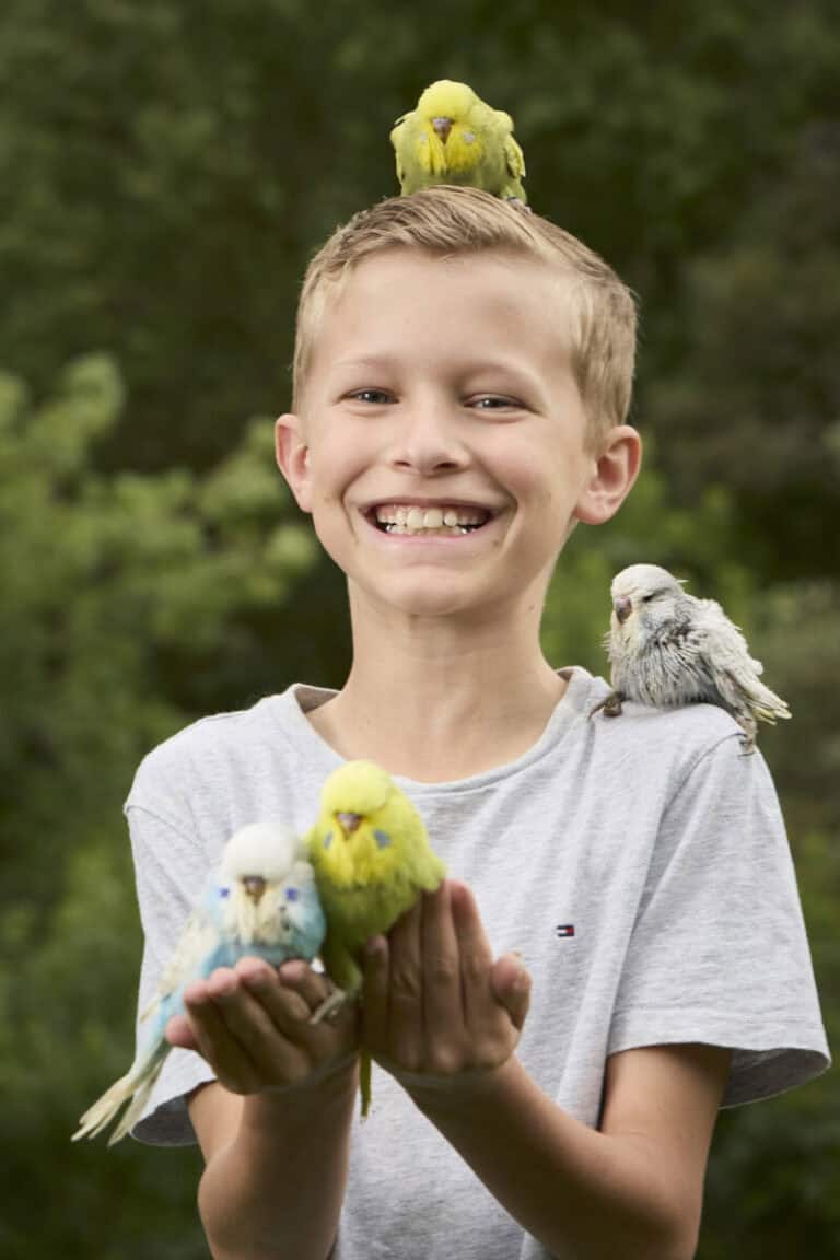 Best Pet Bird for Beginners Australia