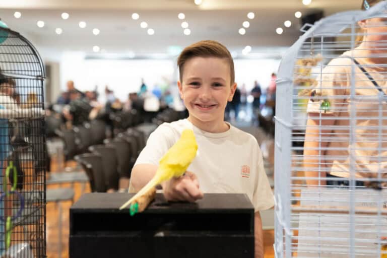 Budgie Clubs South Australia