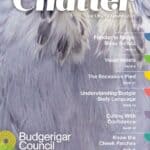 Chatter Magazine Autumn 2025