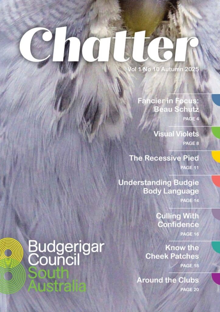 Chatter Magazine Autumn 2025