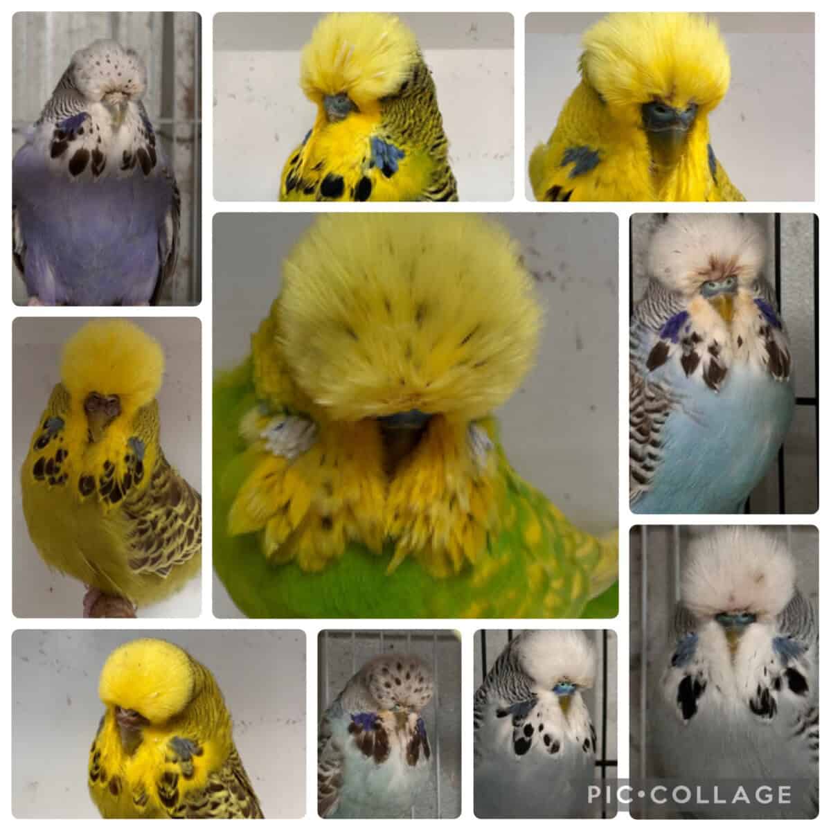 Elmir Family April Sale 2026