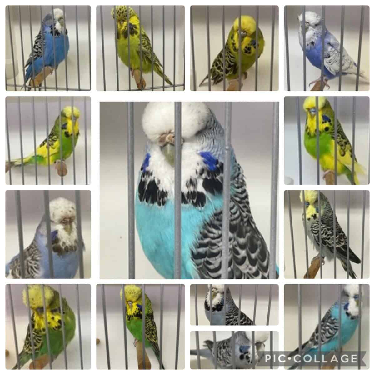 Garry & Pat Heuvel Reduction Sale 2026