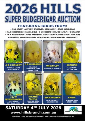 Hills Budgerigar Auction 2026