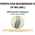 MBC Auction 2026