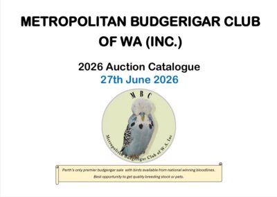 MBC Auction 2026