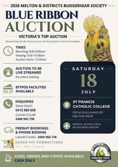Melton Budgerigar Auction 2026